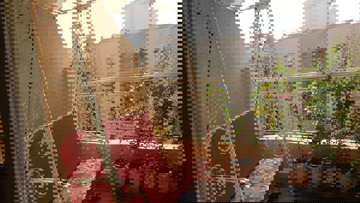 2 BHK Apartment For Rent in GK Rose Icon