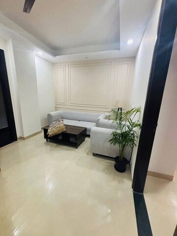 1 BHK Apartment For Rent in Saket