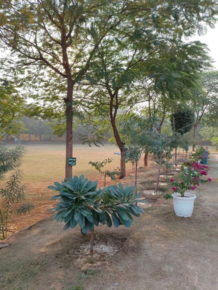 undefined, fidato-honour-homes 3 Bedroom 1330 Sq.Ft. Builder Floor In Sector 89 Faridabad 9768458