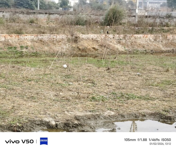 undefined, avani-apartments  105 Sq.Yd. Plot In Meerut Road Ghaziabad 9768605