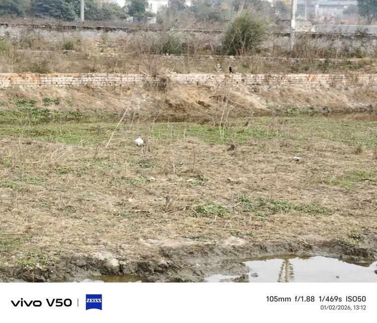 undefined, avani-apartments  105 Sq.Yd. Plot In Meerut Road Ghaziabad 9768605