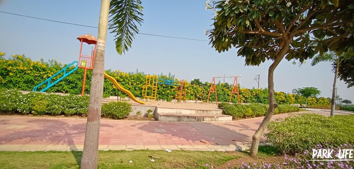 Plot For Sale in Paliya Haidar