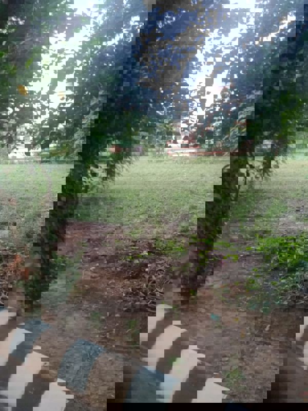 Plot For Sale in Bithoor Road