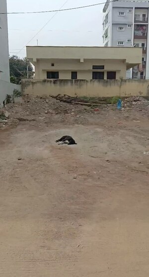  Plot – Exterior View View at Bandlaguda Jagir - for Sale