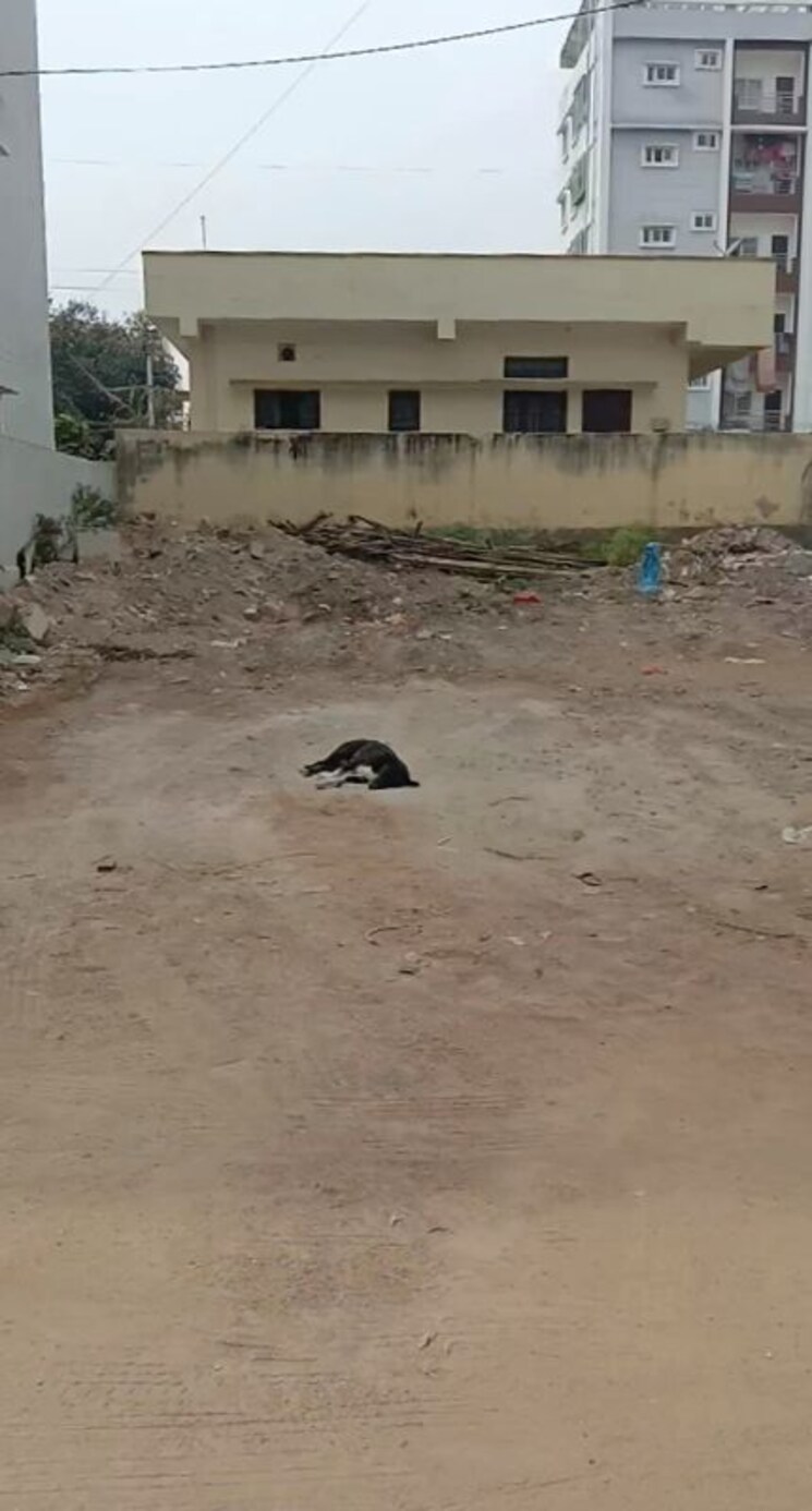 Exterior View, bandlaguda jagir  267 Sq.Yd. Plot In Bandlaguda Jagir Hyderabad 9542763