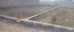 Plot For Sale in Ramnagar Karjaha