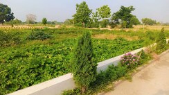 Plot For Sale in Sultanpur Road
