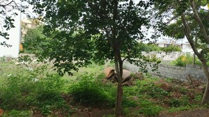 Plot Area in  Plot at Talaghattapura – for Sale