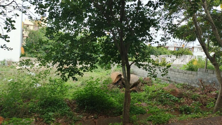 undefined, talaghattapura  2400 Sq.Ft. Plot In Talaghattapura Bangalore 9011204