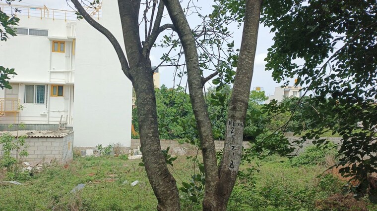 undefined, talaghattapura  2400 Sq.Ft. Plot In Talaghattapura Bangalore 9011204