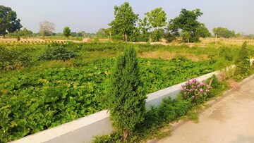  Plot – Exterior View View at Sultanpur Road - for Sale
