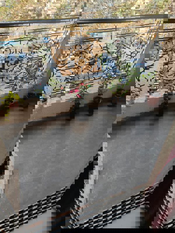 2 BHK + Servant Room Apartment For Rent in Puraniks Aldea Espanola Phase 2