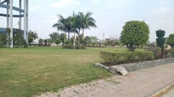 Plot For Sale in Jakhya