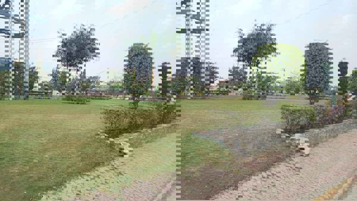 Plot For Sale in Jakhya