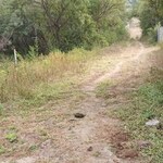 3000 Sq.Ft. Plot in Sairung Samruddhi