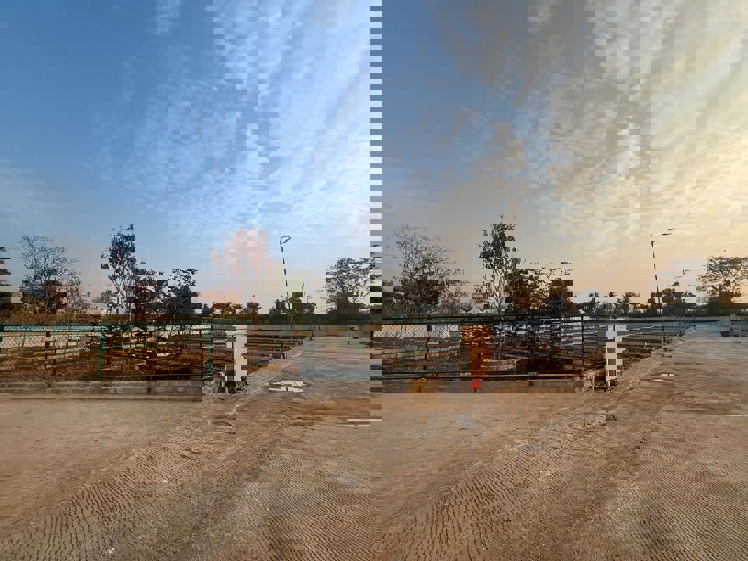 Plot For Sale in Kaggalipura