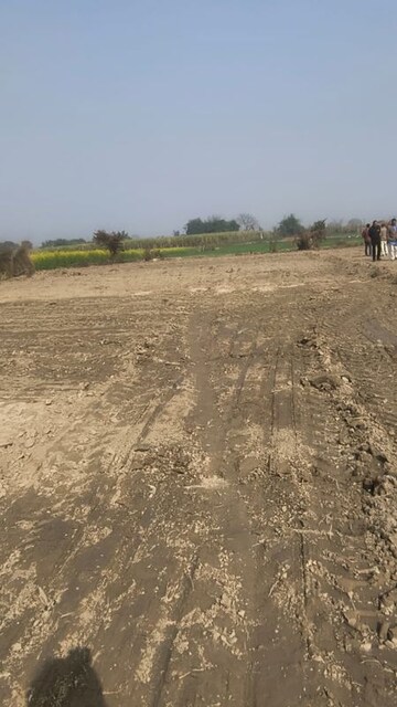 Plot Area in  Plot at Milkipur – for Sale