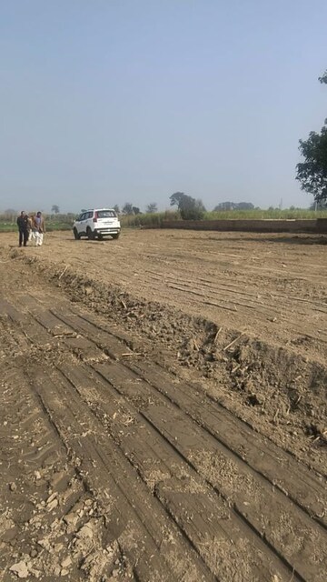 Plot Area in  Plot at Milkipur – for Sale