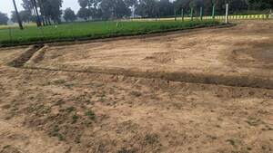  Plot For Sale in Banthra Sikander Pur