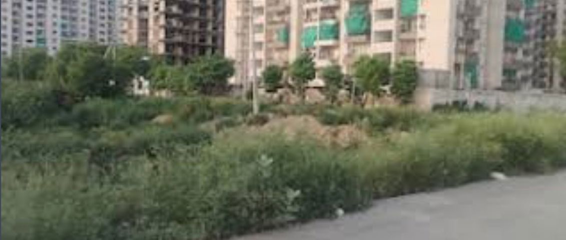 4 BHK + Pooja Room Apartment For Sale in BPTP Park Elite Premium