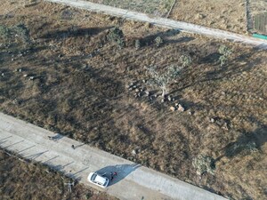  Plot For Sale in Barkheda Nathu