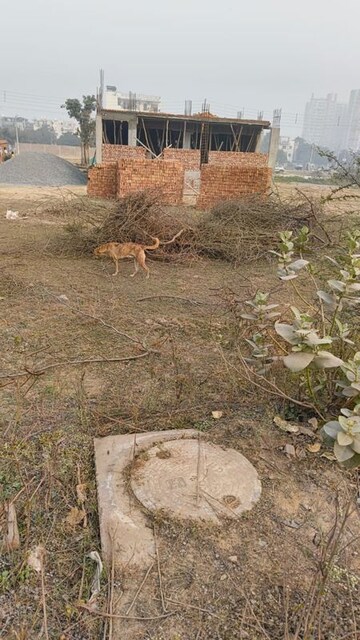 Plot Area in  Plot at BPTP Parkland, Sector 75 – for Sale