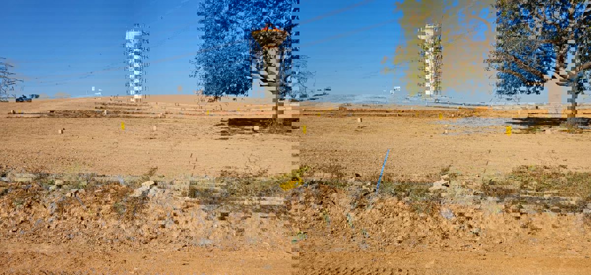 Plot For Sale in Indo Magadha