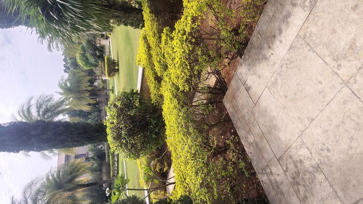 Garden, aditya-casa-grande 4 Bedroom 5174 Sq.Ft. Villa In Narsingi Hyderabad 9152860