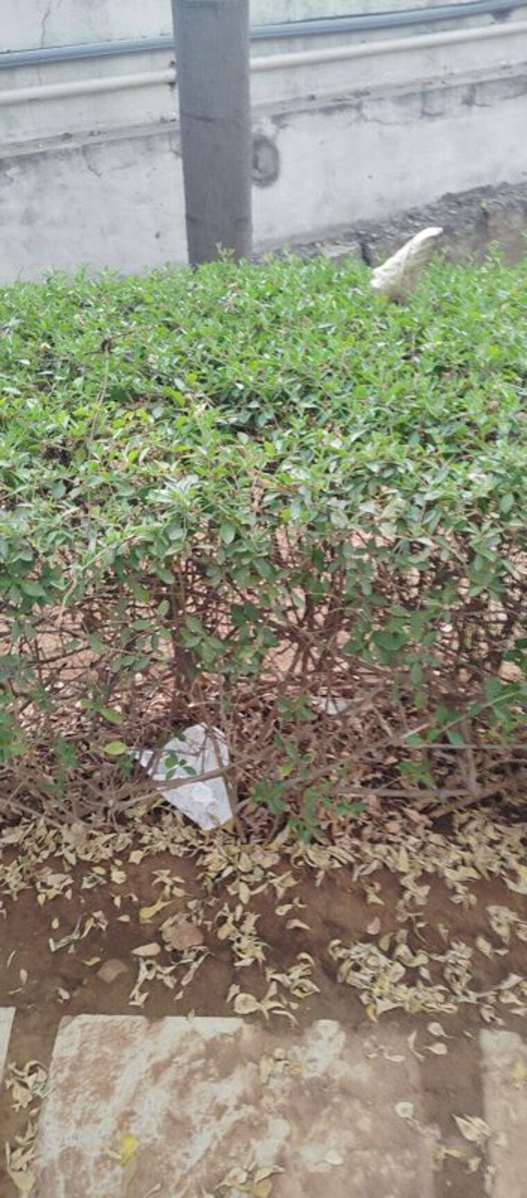 Master Bedroom, ssk-sunway-nest 3 Bedroom 1548 Sq.Ft. Apartment In Bachupally Hyderabad 9772174