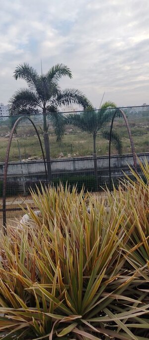 3 BHK Apartment – Exterior View View at SSK Sunway Nest, Bachupally - for Sale