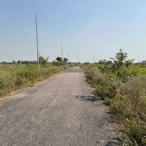 Plot Area in  Plot at Sector 20 Yamuna Expressway – for Sale