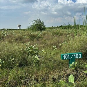 Plot Area in  Plot at Sector 20 Yamuna Expressway – for Sale