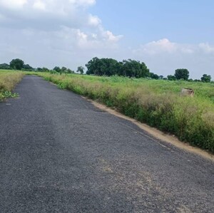 Plot Area in  Plot at Sector 20 Yamuna Expressway – for Sale