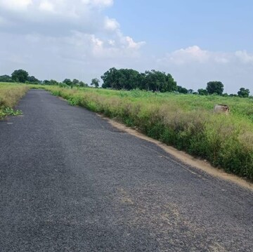 Plot Area in  Plot at Sector 20 Yamuna Expressway – for Sale