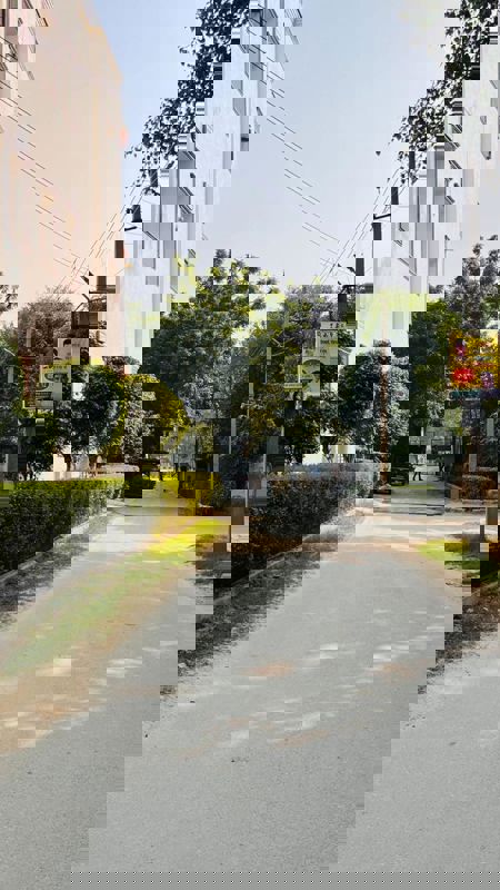 Pg For Rent in Sector 40