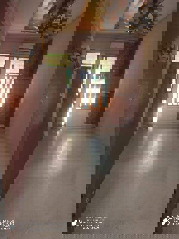 2.5 BHK Builder Floor For Rent in Mayur Vihar