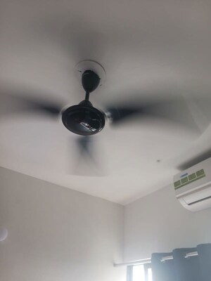 1 BHK Apartment For Rent in Runwal Gardens, Dombivli East