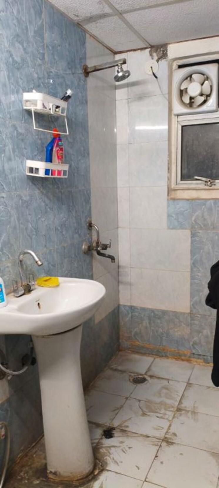 Bathroom, gardenia-gateway 2 Bedroom 1265 Sq.Ft. Apartment In Sector 75 Noida 9772833