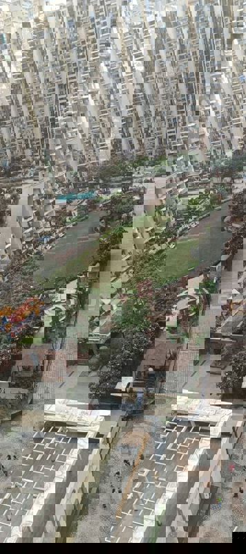 3 BHK + Pooja Room Apartment For Rent in Gardenia Golf City