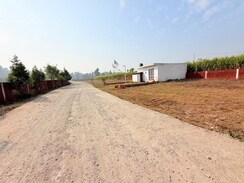 Plot For Sale in Badripur