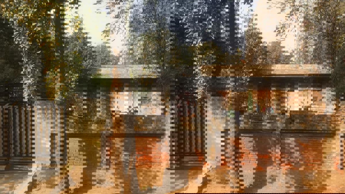 Plot For Sale in Sigma I Greater Noida