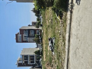 3 BHK Builder Floor For Sale in New Chandigarh