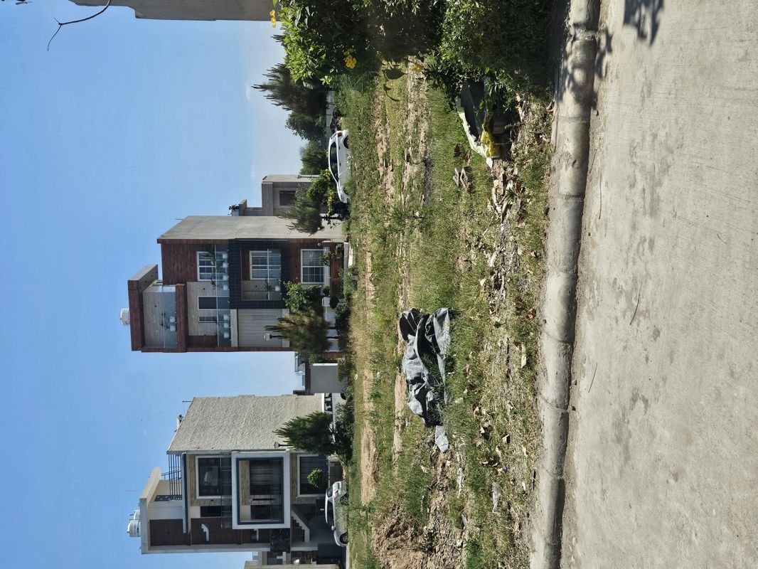 3 BHK + Extra Room Builder Floor For Sale in New Chandigarh