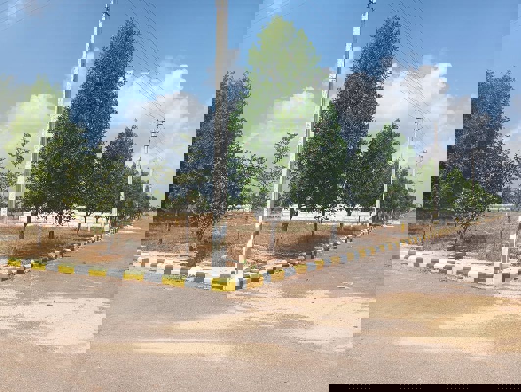 Plot For Sale in CBC Cosmopolis