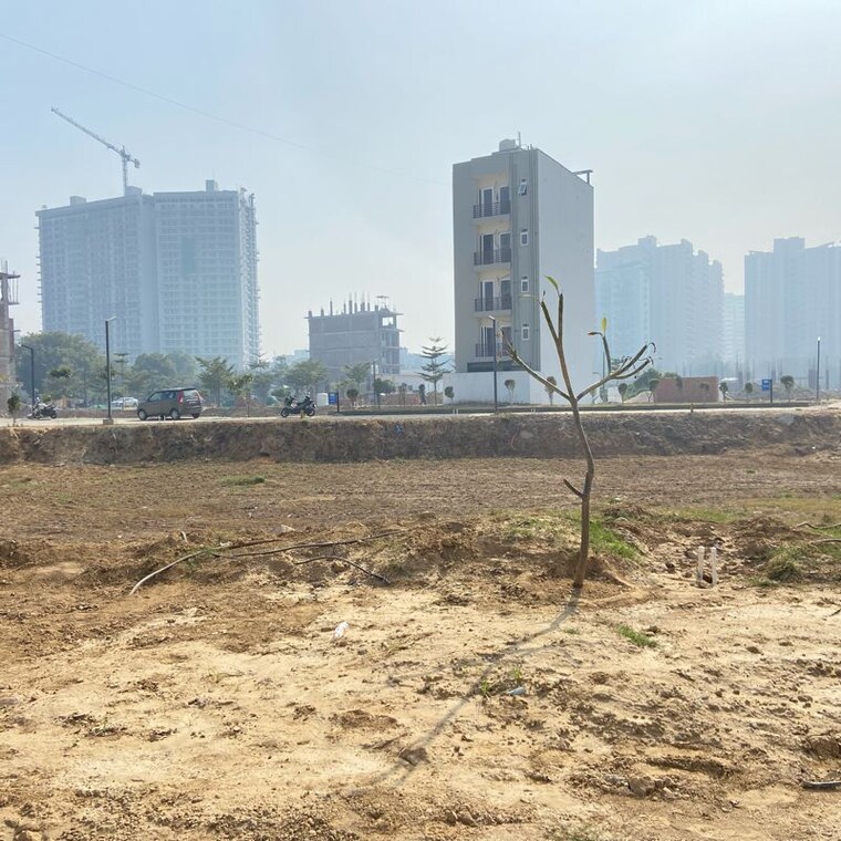 undefined, jms-the-nation  150 Sq.Yd. Plot In Sector 95 Gurgaon 9773175