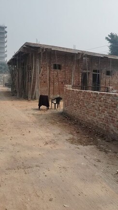 Plot For Sale in Knowledge Park II Greater Noida