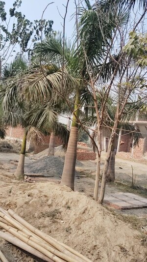 Plot Area in  Plot at Knowledge Park Ii Greater Noida – for Sale