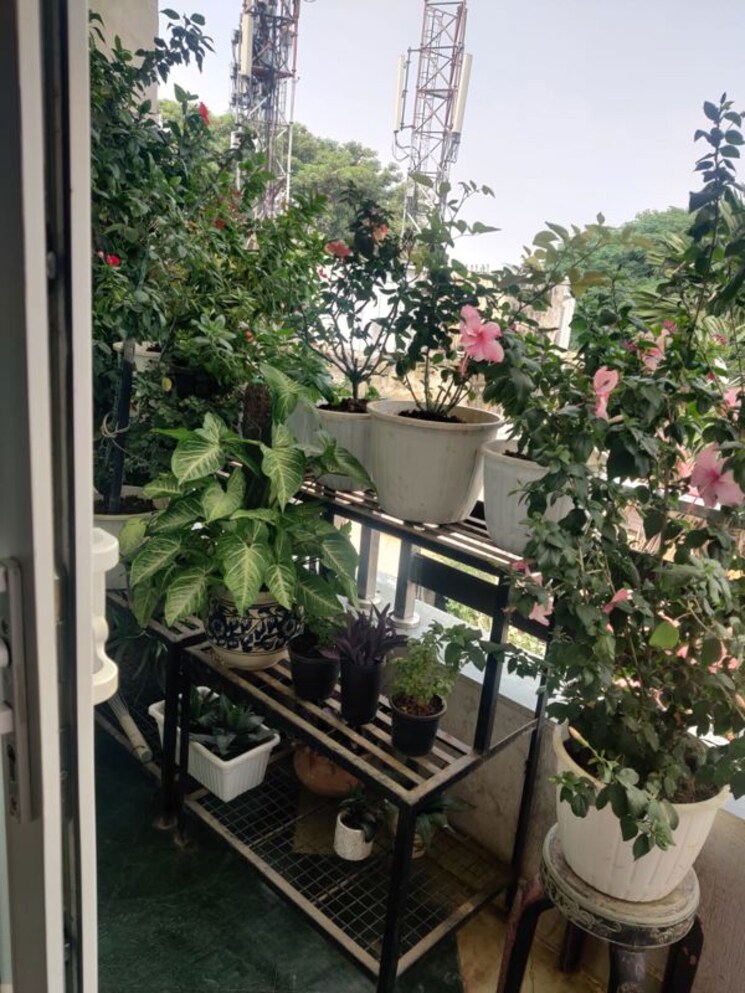 Balcony, chittaranjan park 3 Bedroom 160 Sq.Yd. Builder Floor In Chittaranjan Park Delhi 9292057