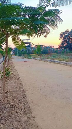 Plot For Sale in Rohta
