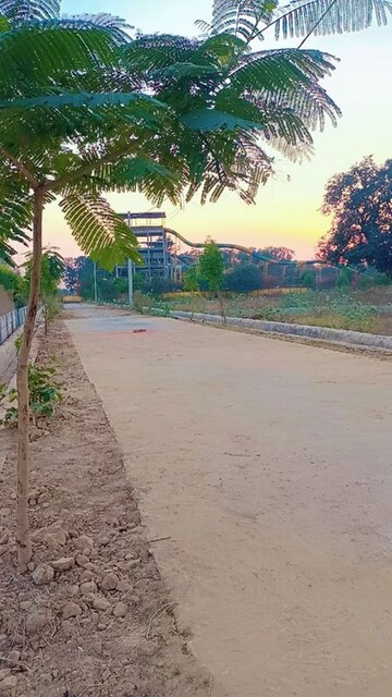  Plot For Sale in Rohta